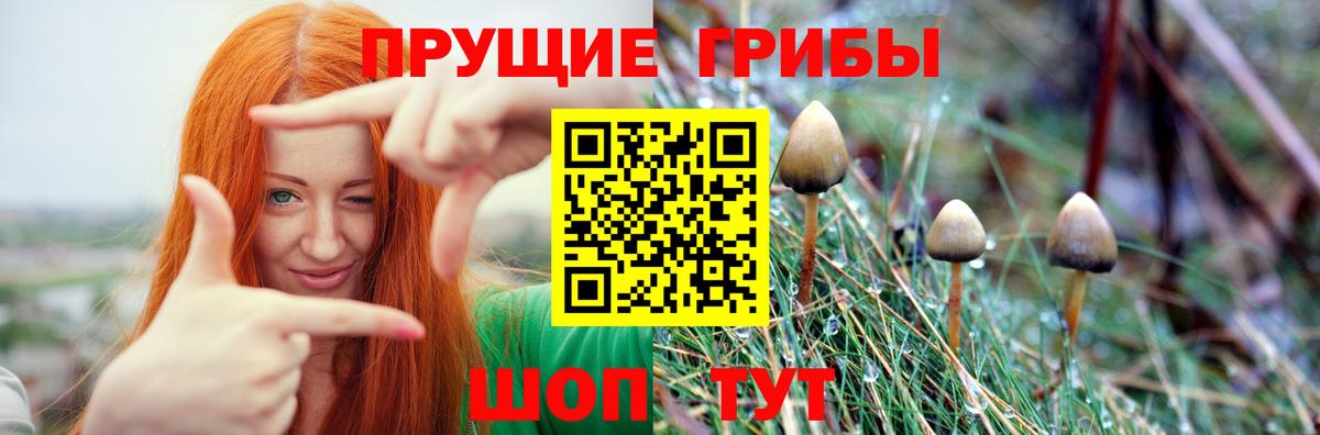 Ухта  Галлюциногенные грибы Psilocybe  наркотики  Вход с VPN 